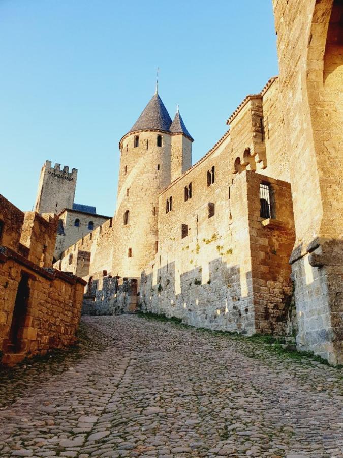 Maison Avec Jardin Au Pied De La Cite Medievale Каркассонн Екстер'єр фото